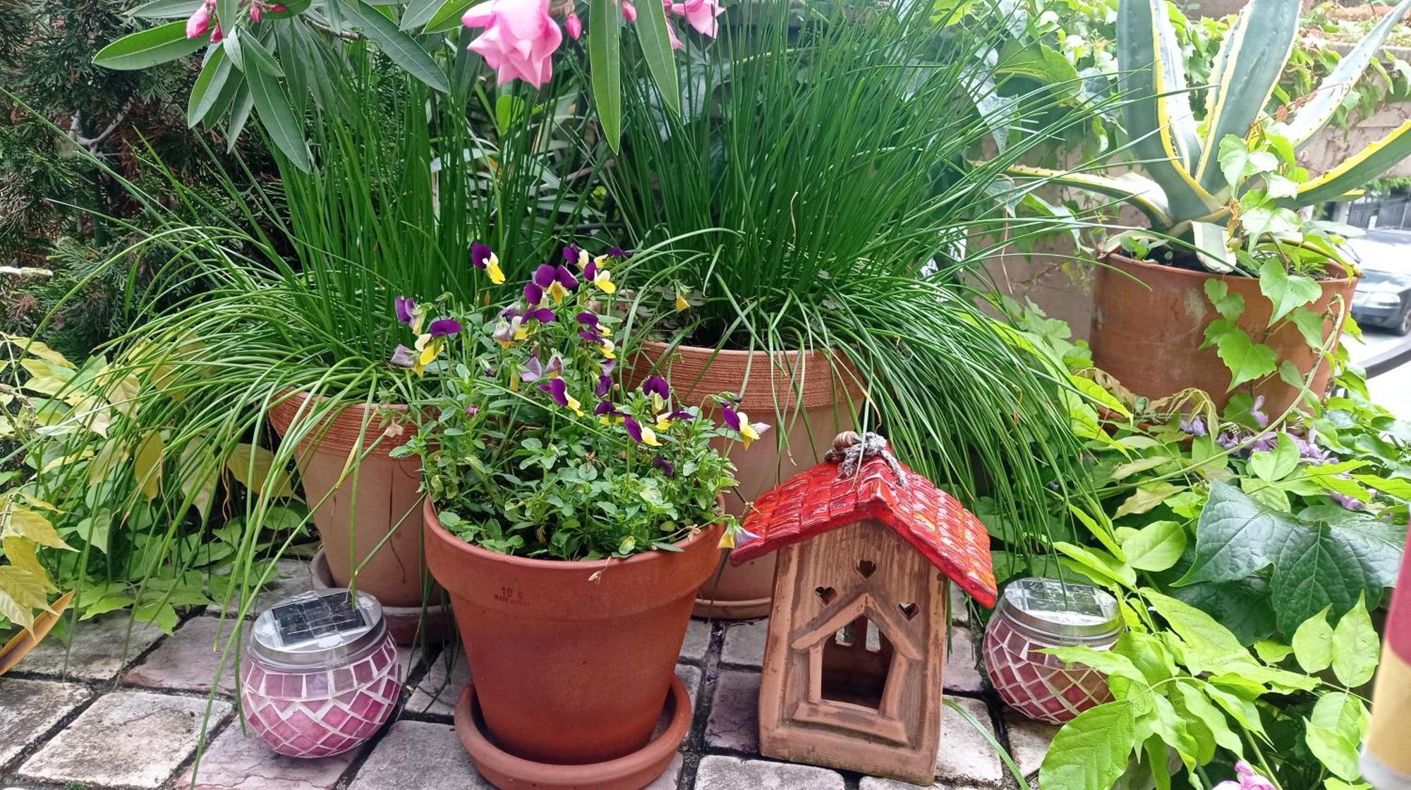 Belgrade Apartment Happy Garden Exterior foto