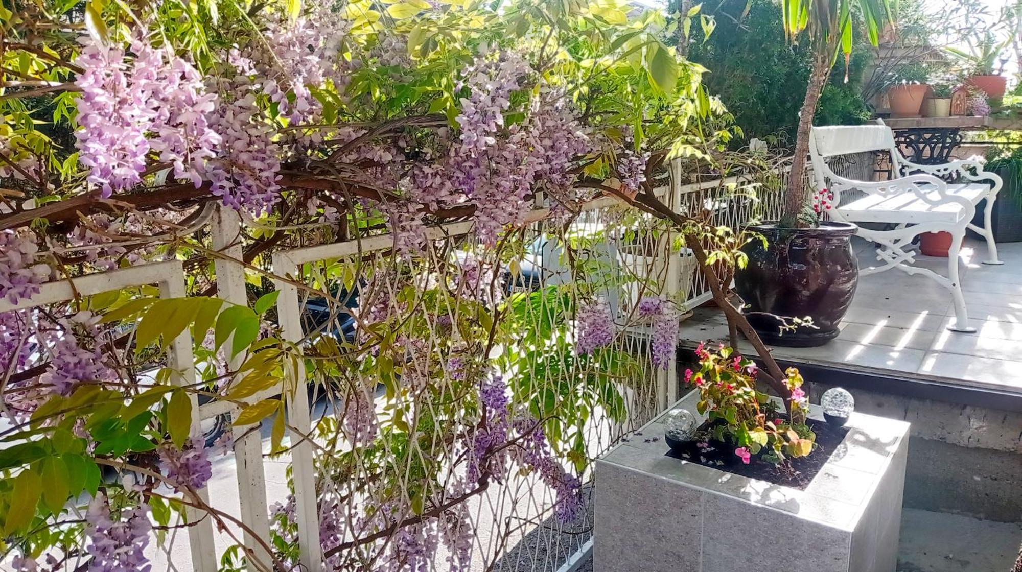 Belgrade Apartment Happy Garden Exterior foto
