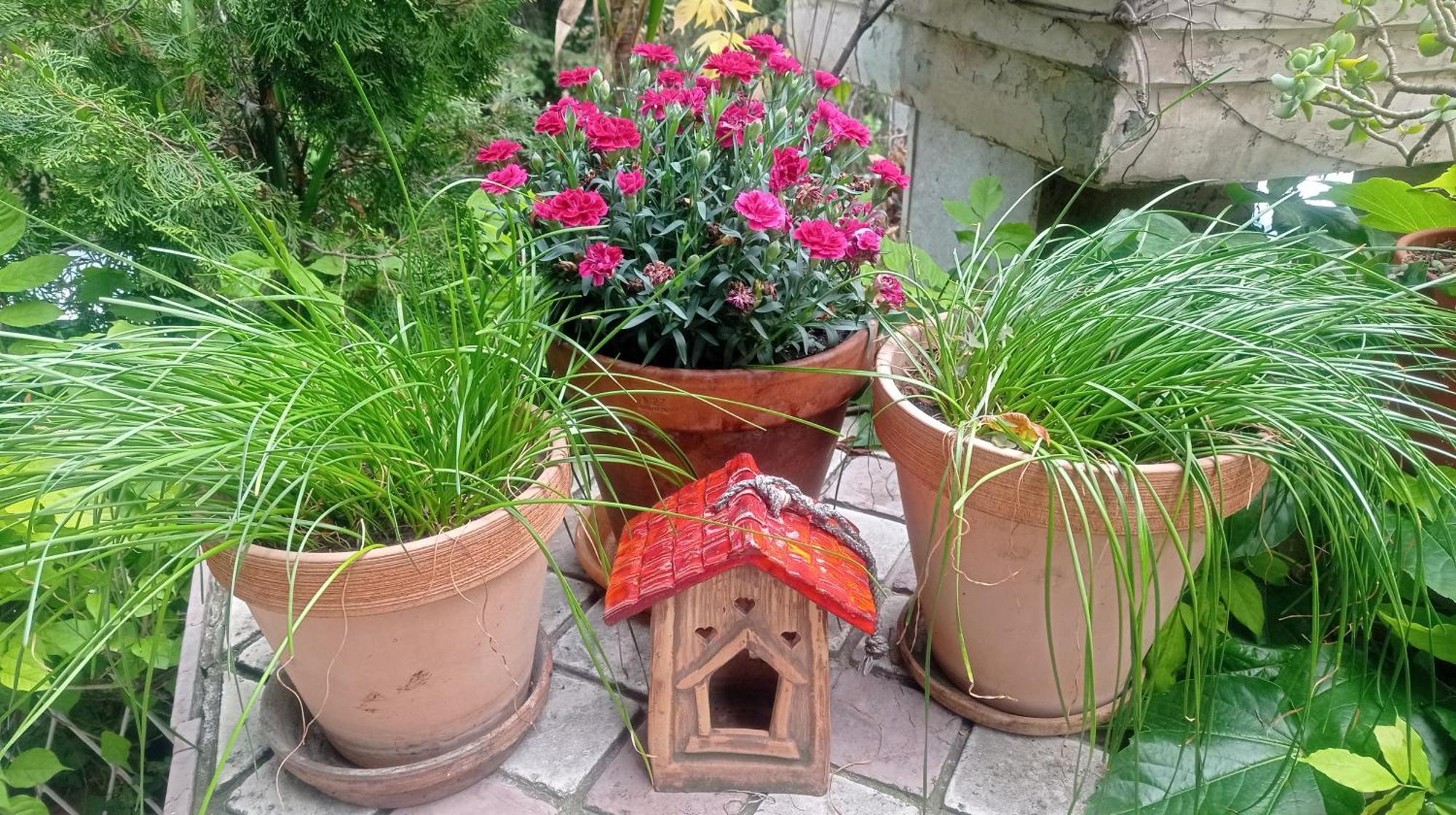 Belgrade Apartment Happy Garden Exterior foto
